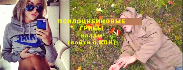 синтетический гашиш Алексеевка