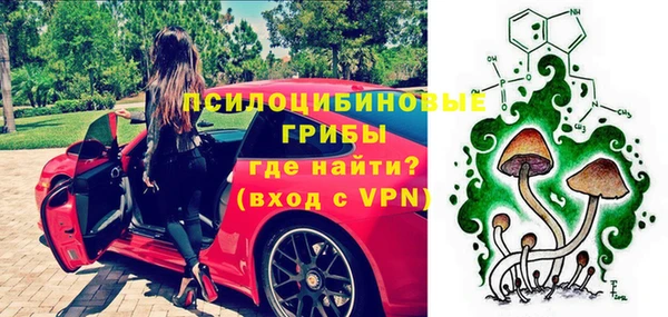 прущий лед Алексин